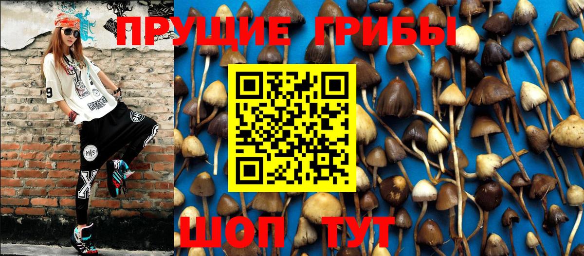 Галлюциногенные грибы мухоморы  Вход с VPN  Архангельск 
